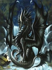 Dragon noir, janv. 2009