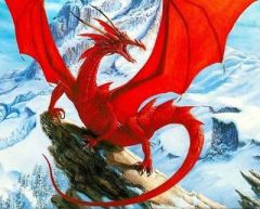 Dragon rouge, fév. 2009