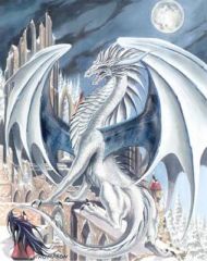 Dragon blanc, janv. 2009
