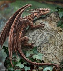 Dragon brun1, janv. 2009