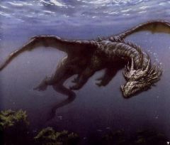 Dragon brun 2, janv. 2009