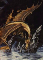 Dragon brun3, janv. 2009