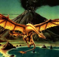 dragon des sables, janv. 2009